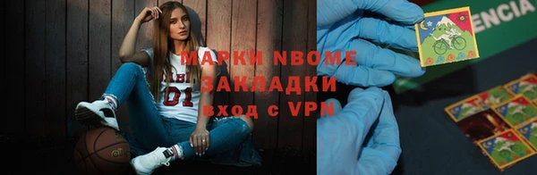 индика Арсеньев