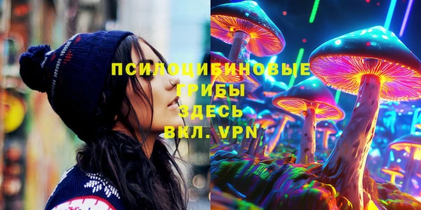 индика Арсеньев