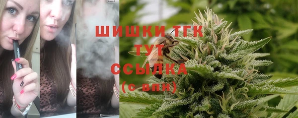 индика Арсеньев
