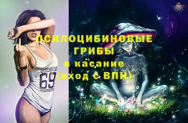 индика Арсеньев